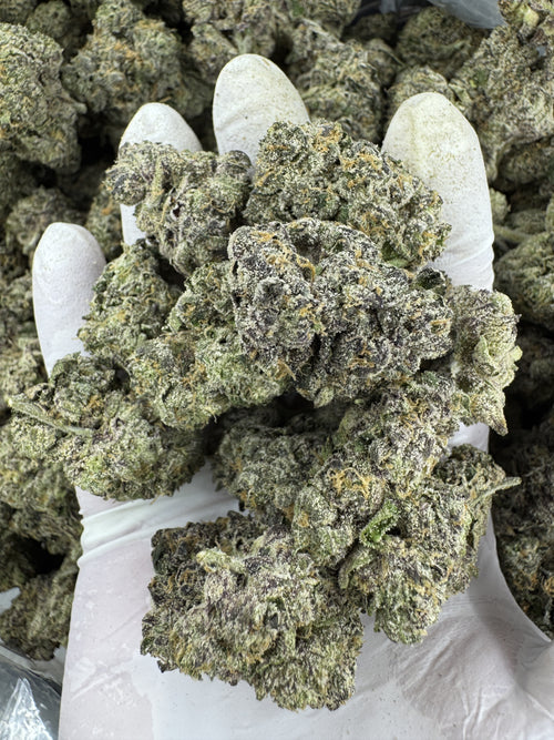 Frosted Skittle Crush - Indoor