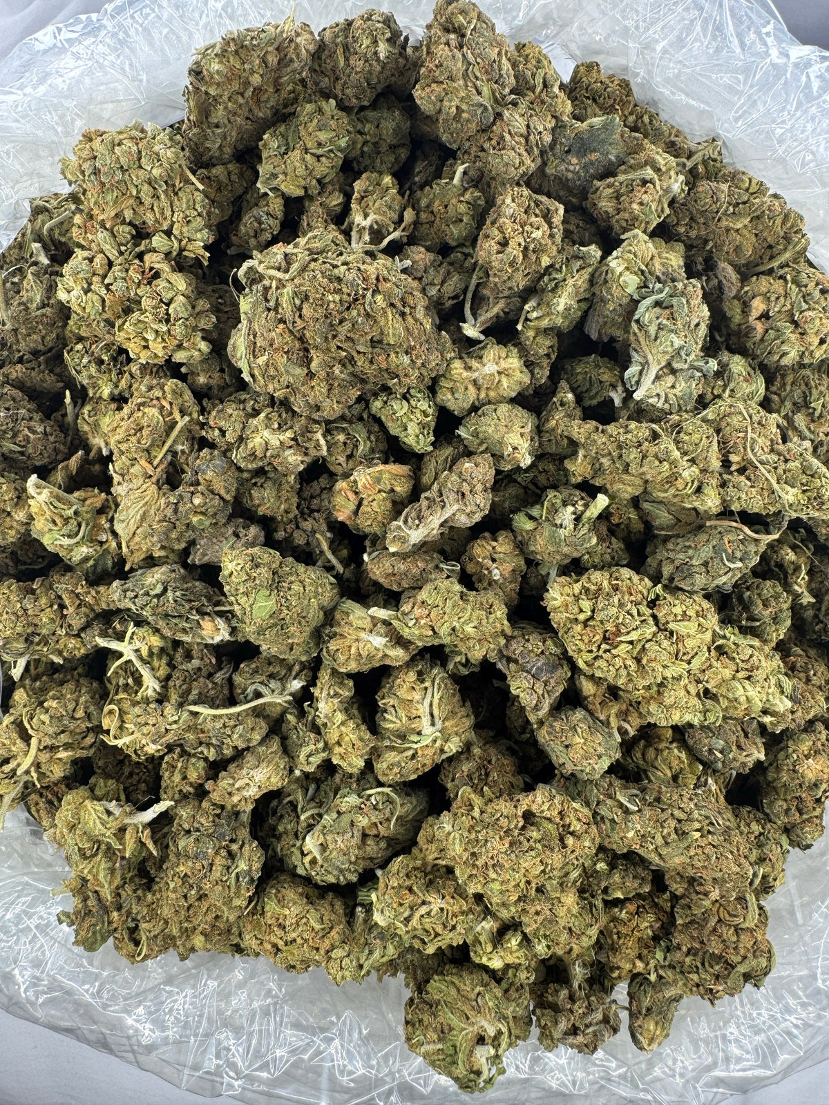 Mochi Gelato - Indoor