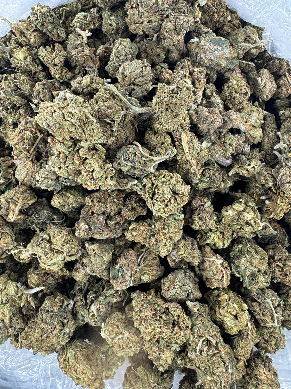 Mochi Gelato - Indoor