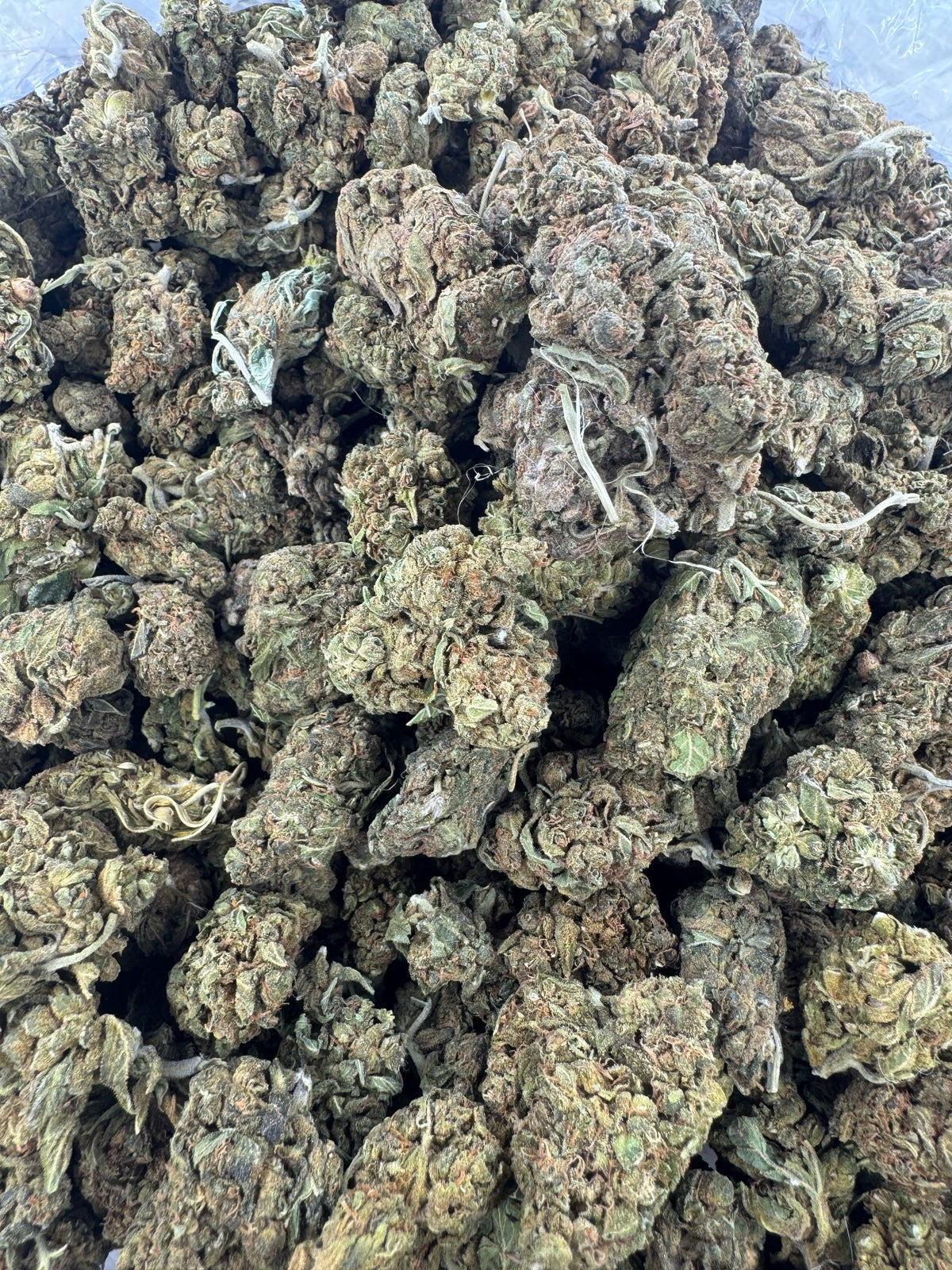 Bubba Candy - BULK - Indoor