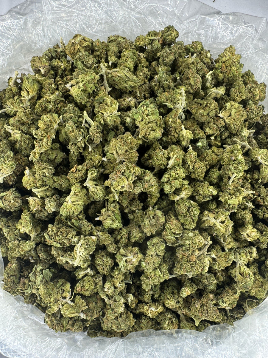 Berry Gelato - Indoor - SMALLS - 28G / Ounce Deal