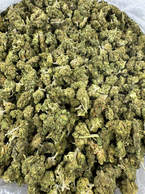 Wedding Crasher - Indoor - SMALLS