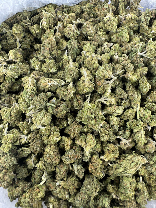 Grape Razzberry - BULK - SMALLS - Indoor