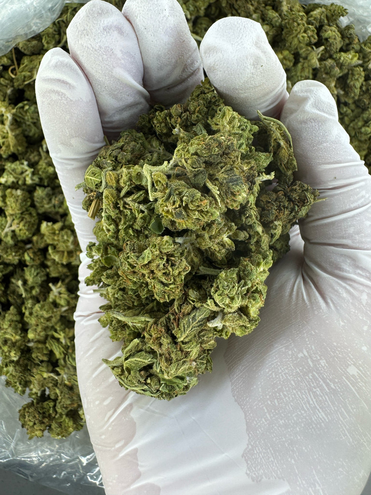 Lava Cake - Indoor - SMALLS