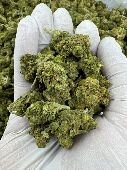 Grape Razzberry - Indoor - SMALLS