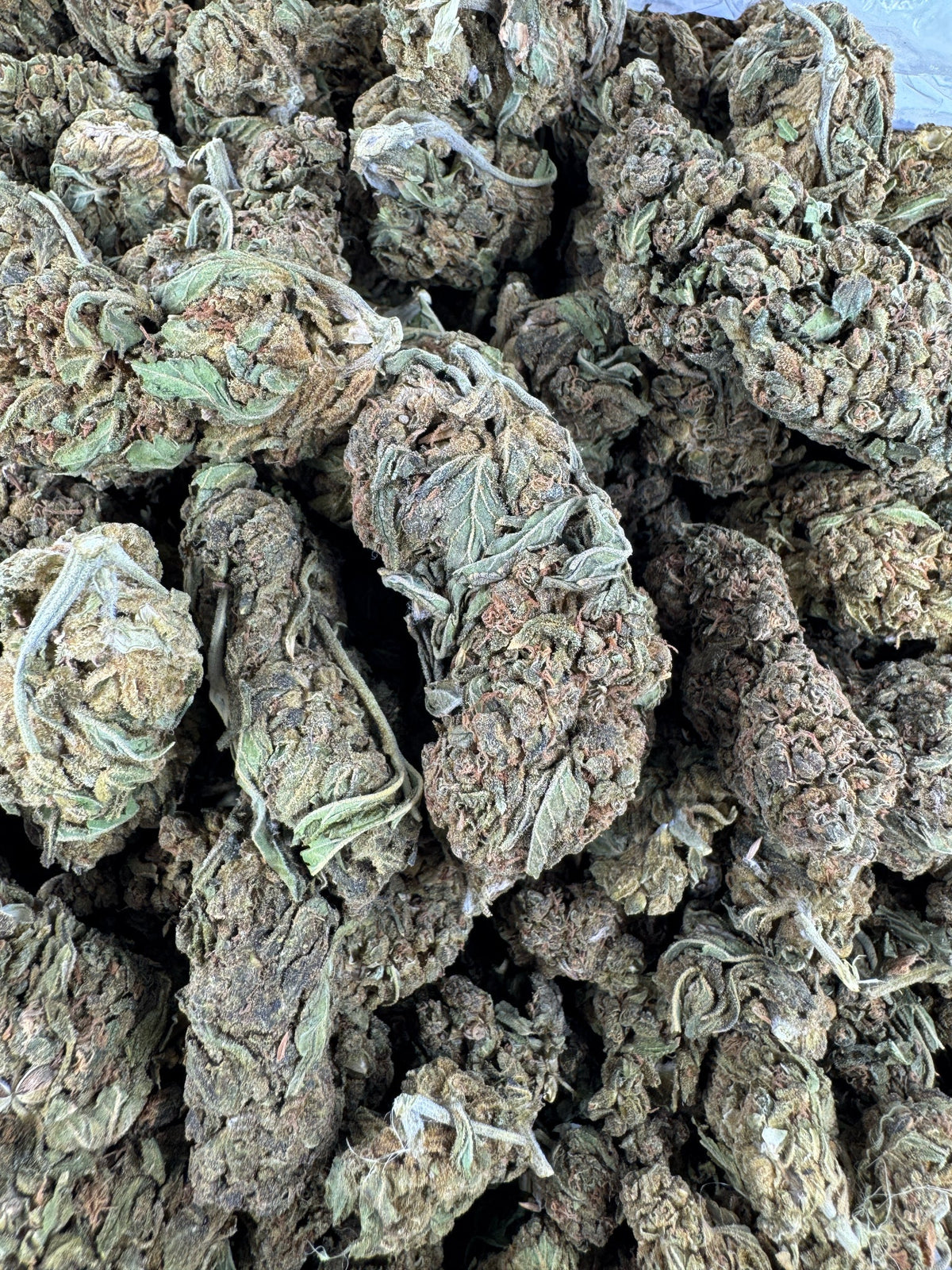Grape Zkittles - Indoor