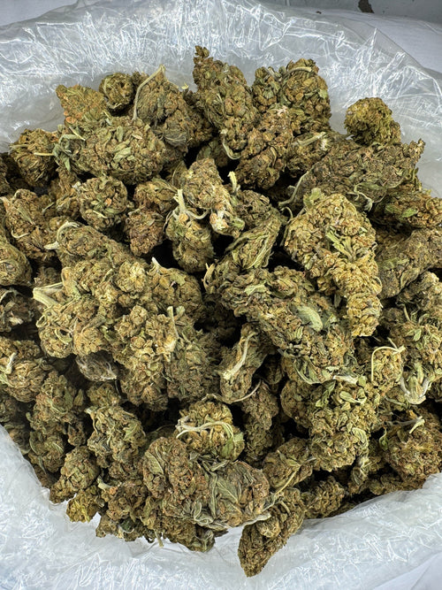 Biscotti Cake - BULK - Indoor