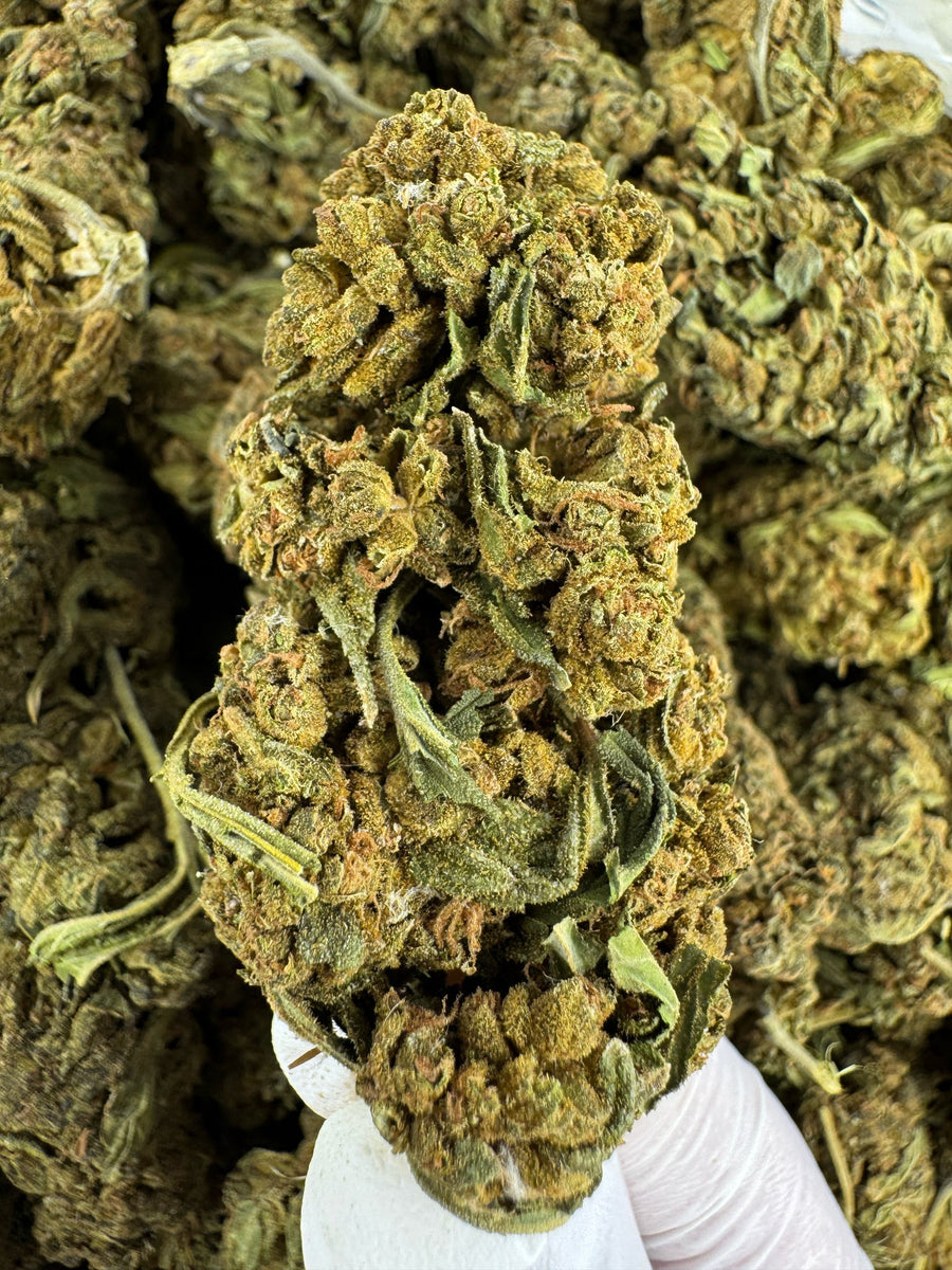 Grape Zkittles - Indoor - 28G / Ounce Deal