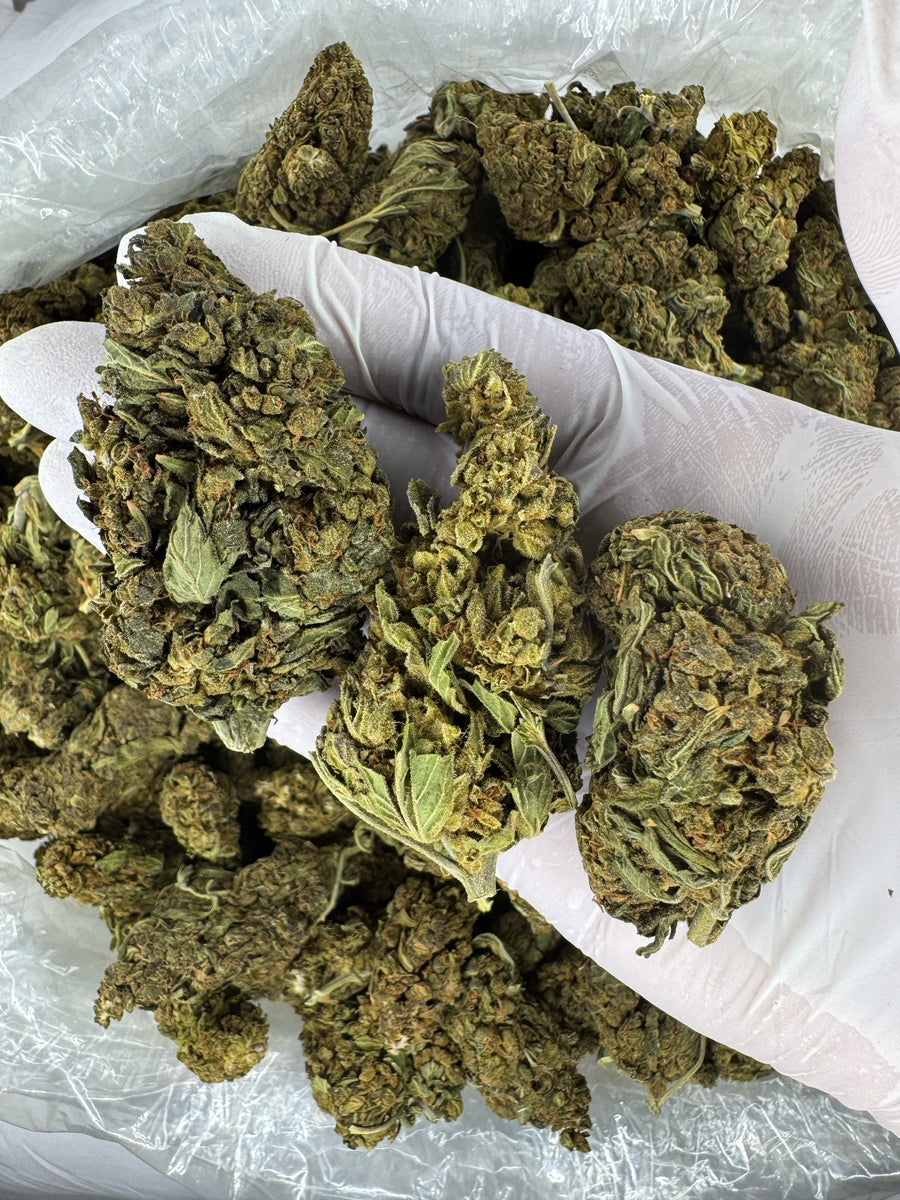 Biscotti Cake - Indoor - 28G / Ounce Deal