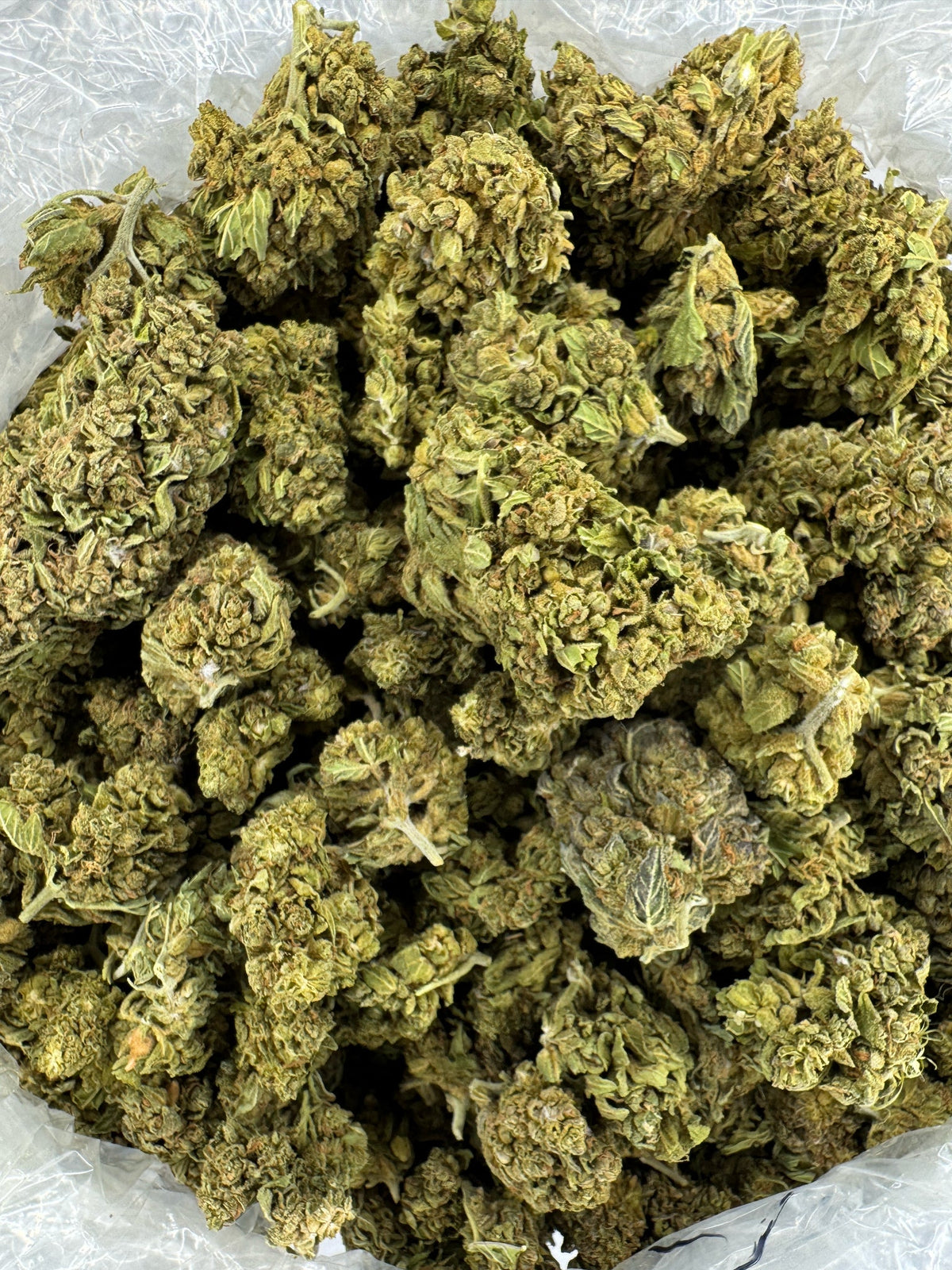 Blueberry Head Smoke - BULK - Indoor