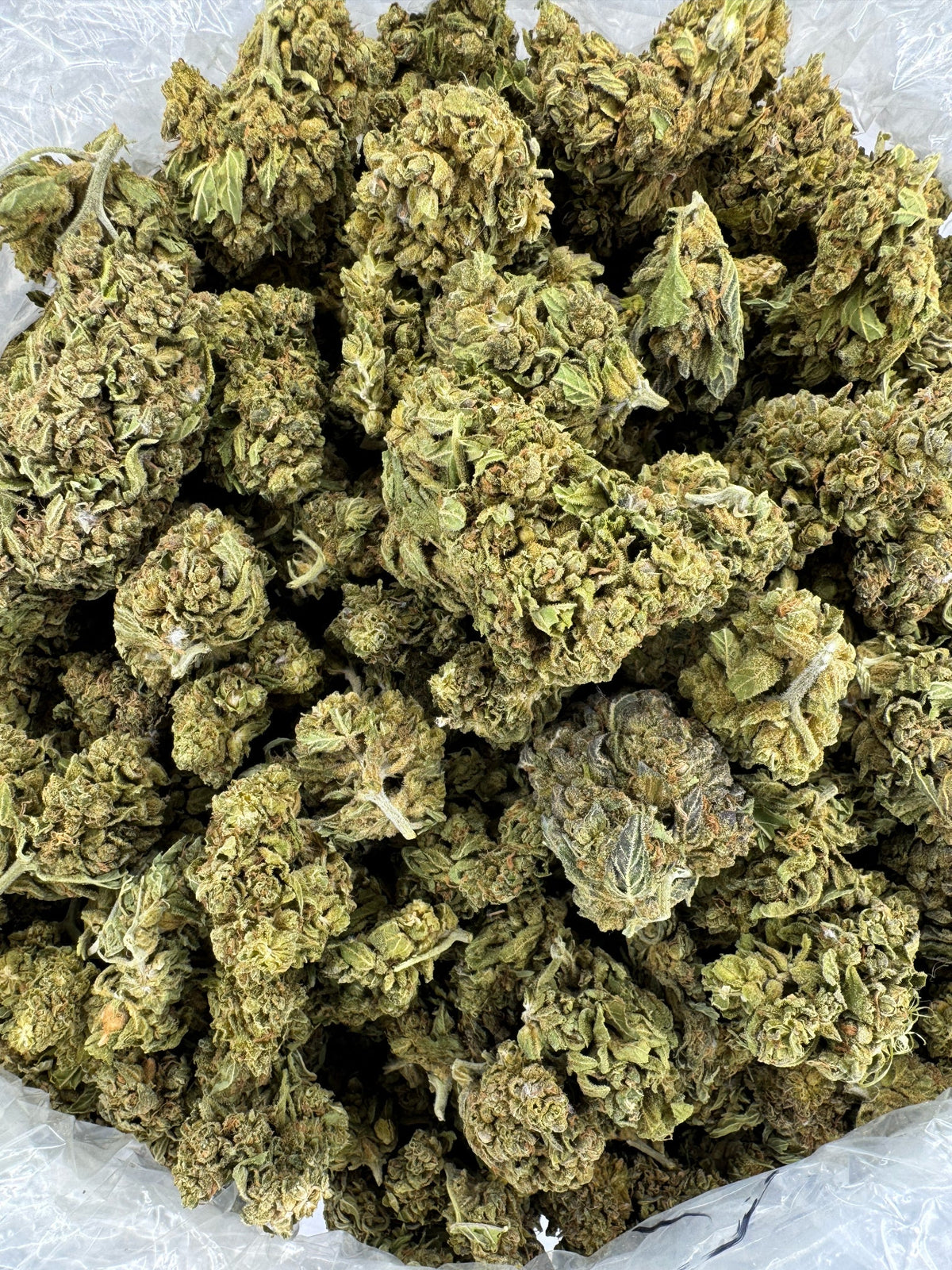 Blueberry Head Smoke - BULK - Indoor