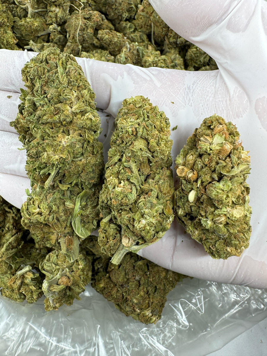 Ghost Train Haze - Indoor - 28G / Ounce Deal
