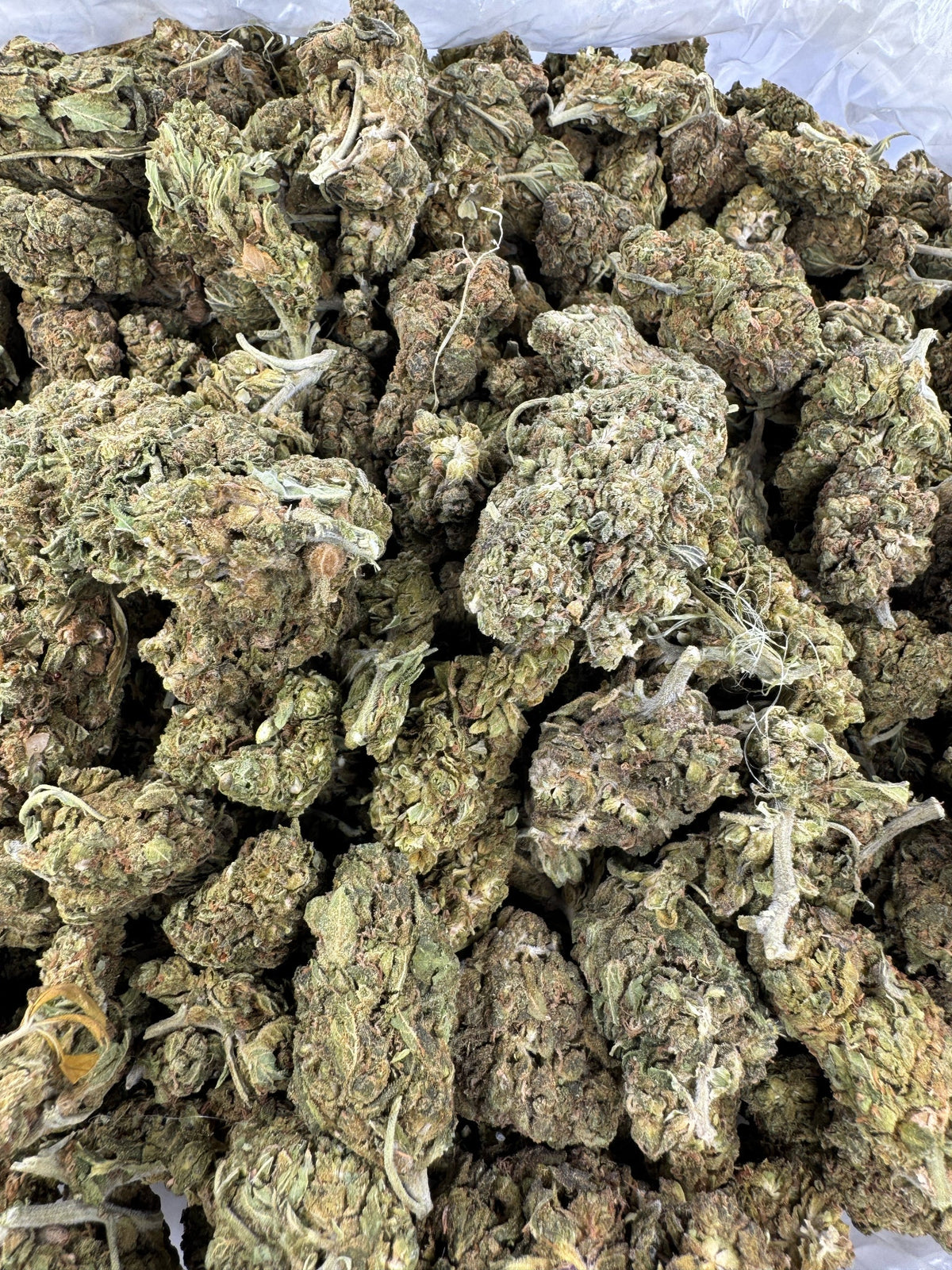Ghost Train Haze - Indoor