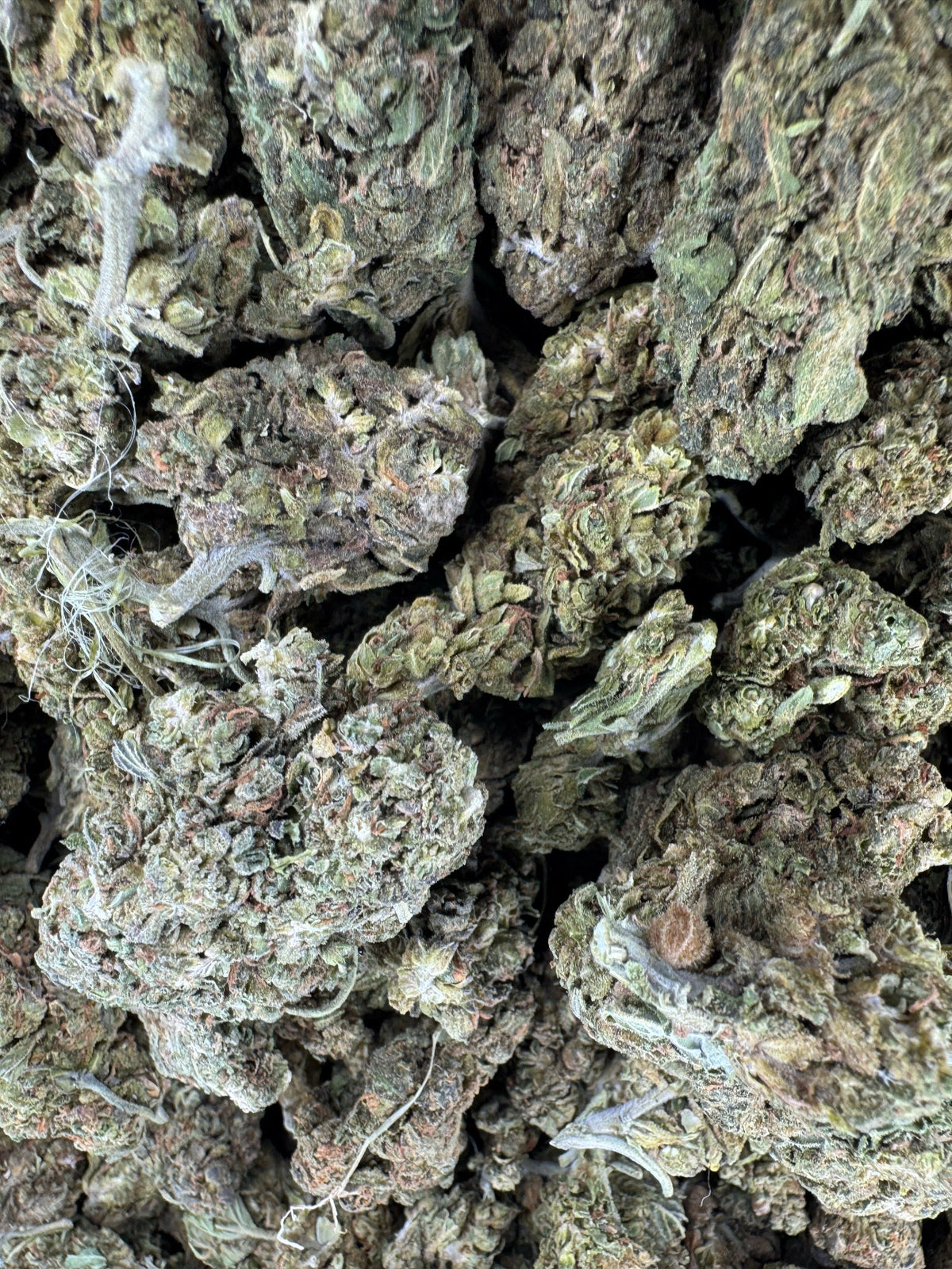 Ghost Train Haze - Indoor
