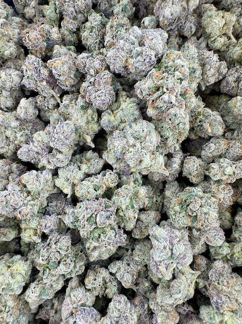 BULK - Velvet Cherry Crush - Indoor