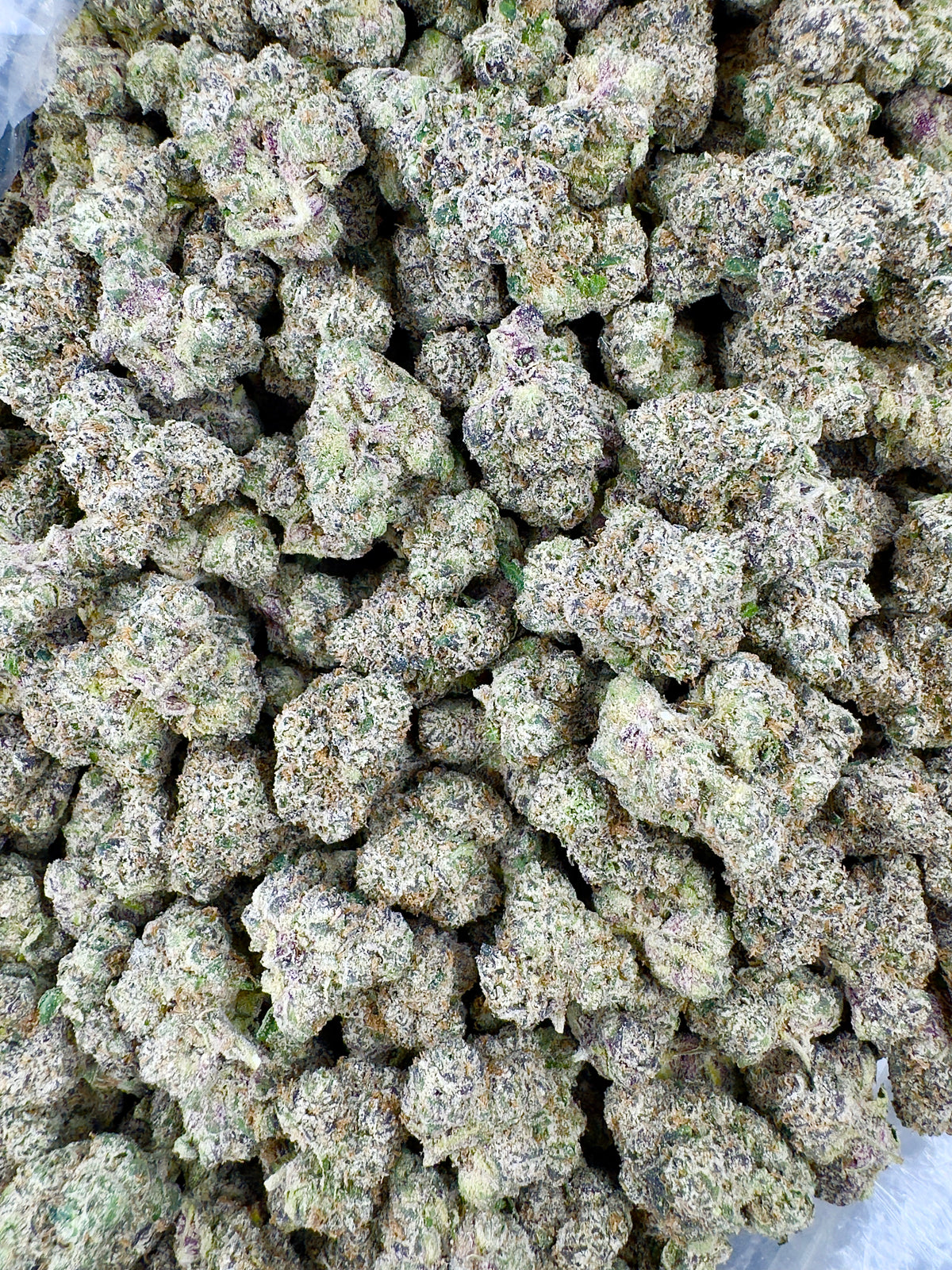 BULK - Tropical Cherry Haze- Indoor