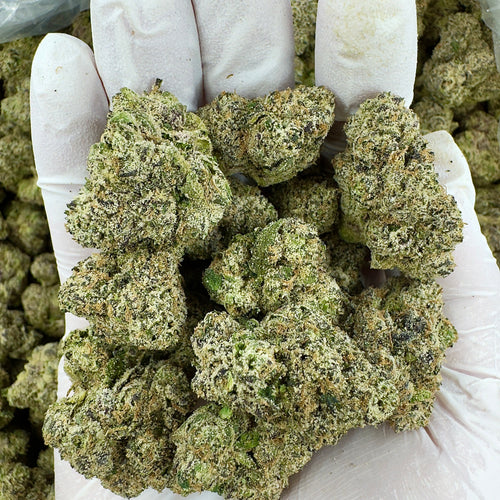 Tropical Cherry Haze - Indoor - 28G / Ounce Deal