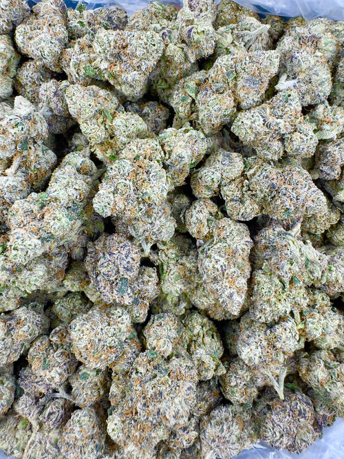 BULK - Tangy Lemon Haze - Indoor