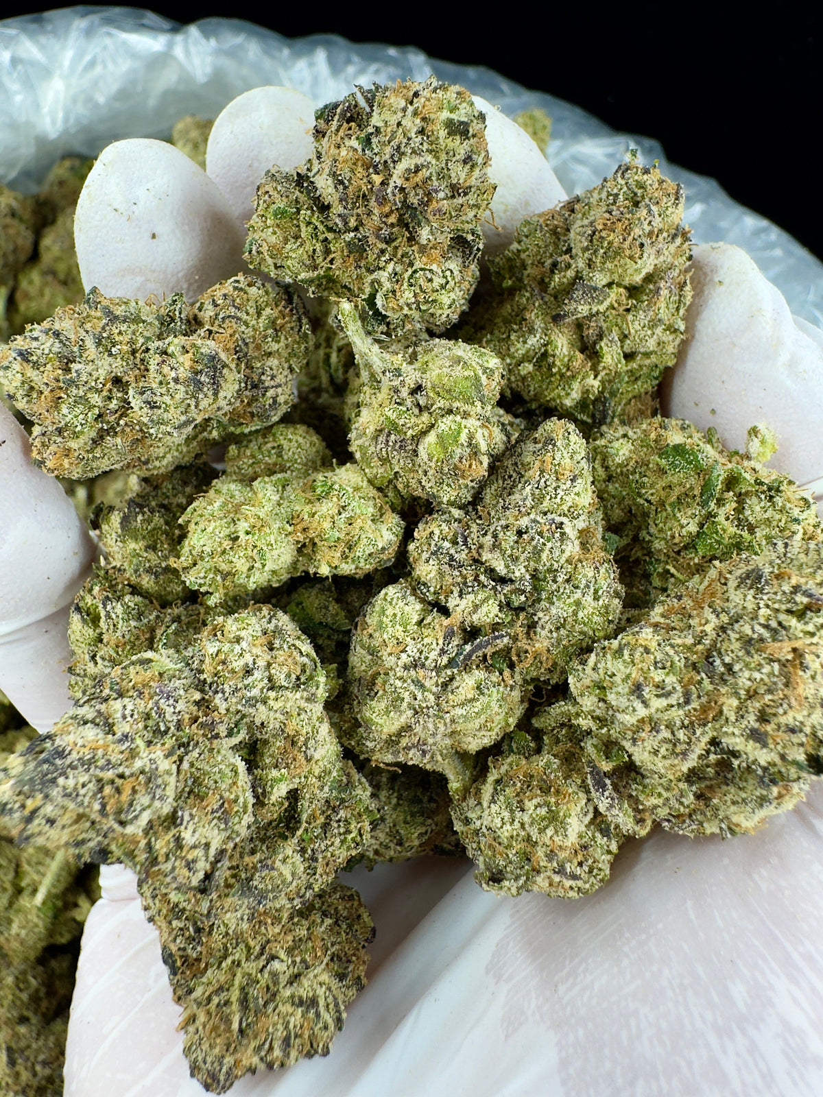 BULK - Sweet N Sour Cherry - Indoor