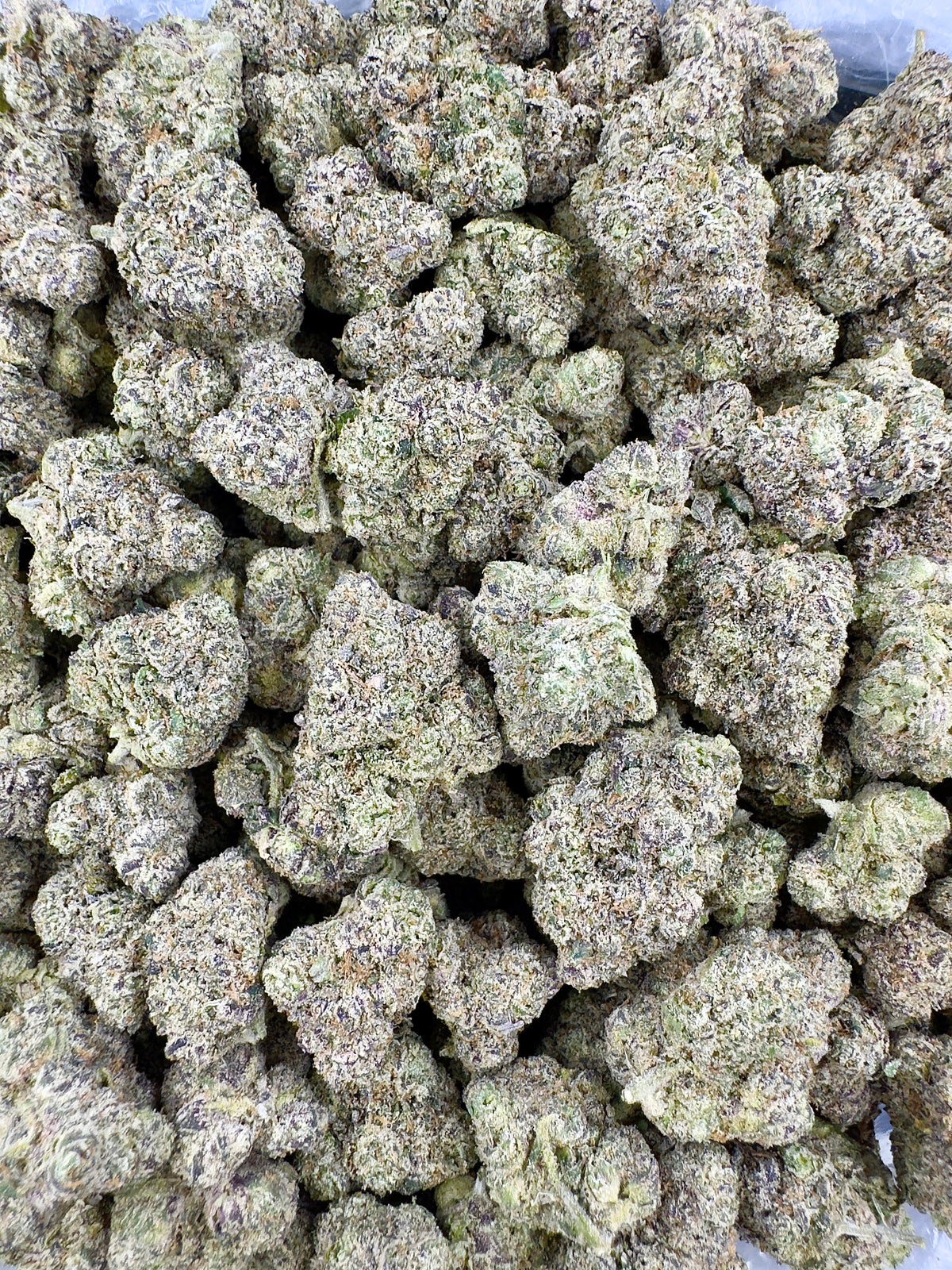 Sour Cherry Punch - Indoor