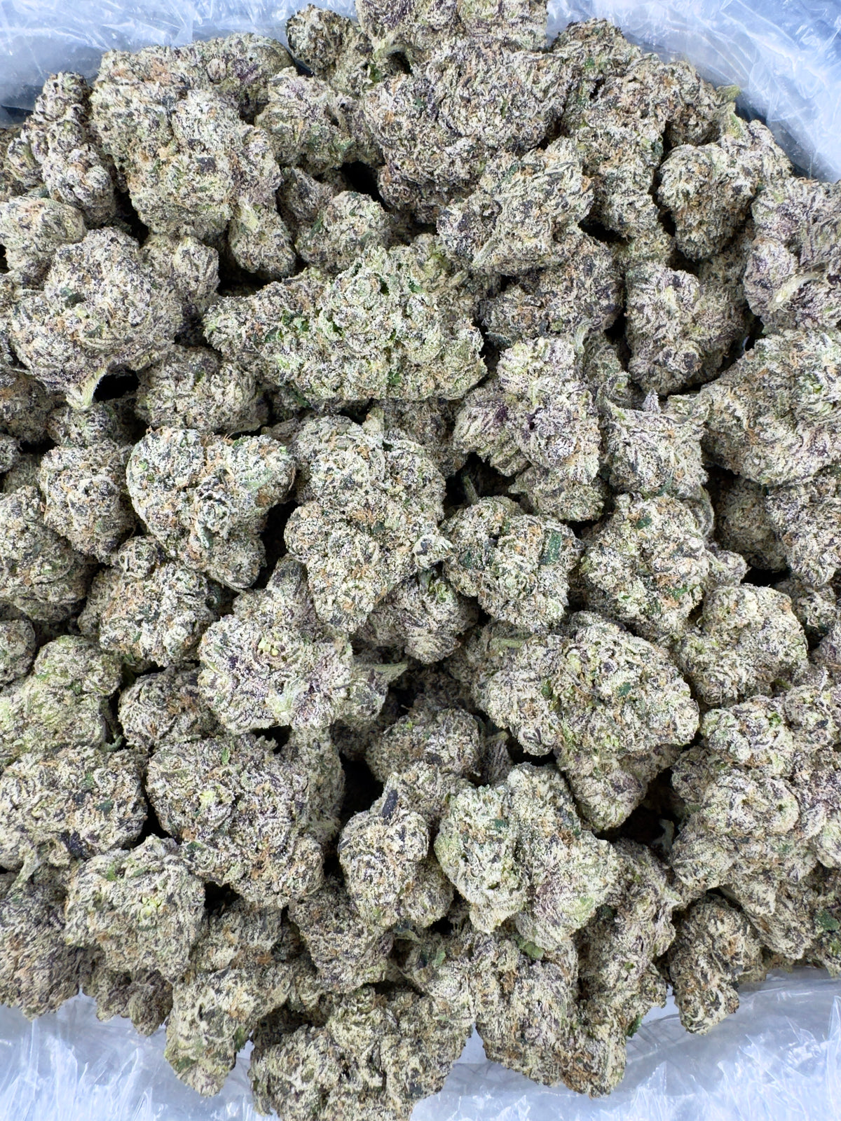 Skittle Sorbet - Indoor