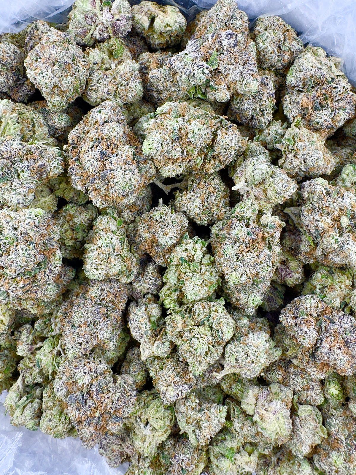 BULK - Lemonade Dream - Indoor