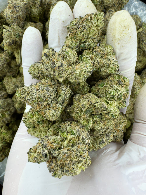 Lemon Cherry Diesel - Indoor
