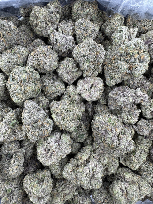 BULK - Frosted Cherry Bomb - Indoor