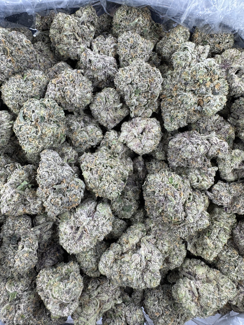BULK - Frosted Skittle Crush - Indoor