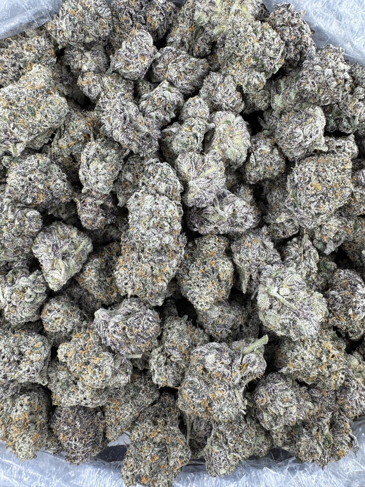 Frosted Cherry Bomb - Indoor