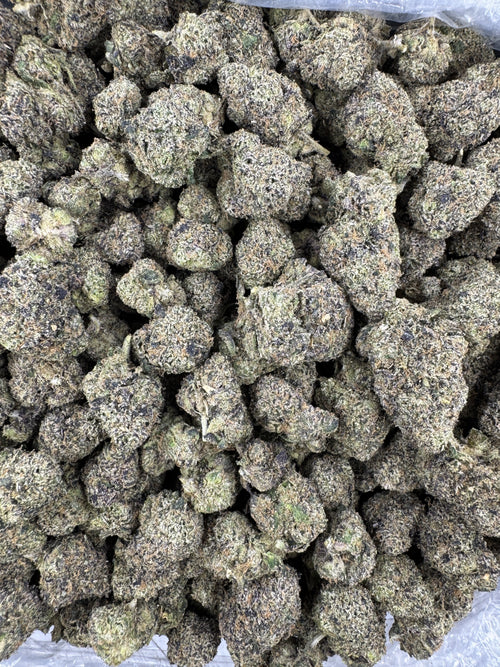 BULK - Cherry Zing - Indoor