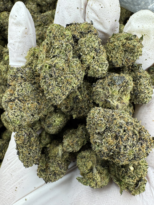 Cherry Zing - Indoor