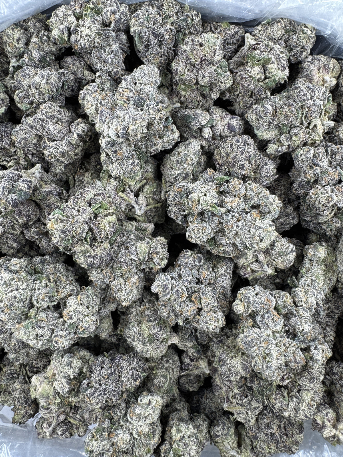 Cherry Sorbet Haze - Indoor