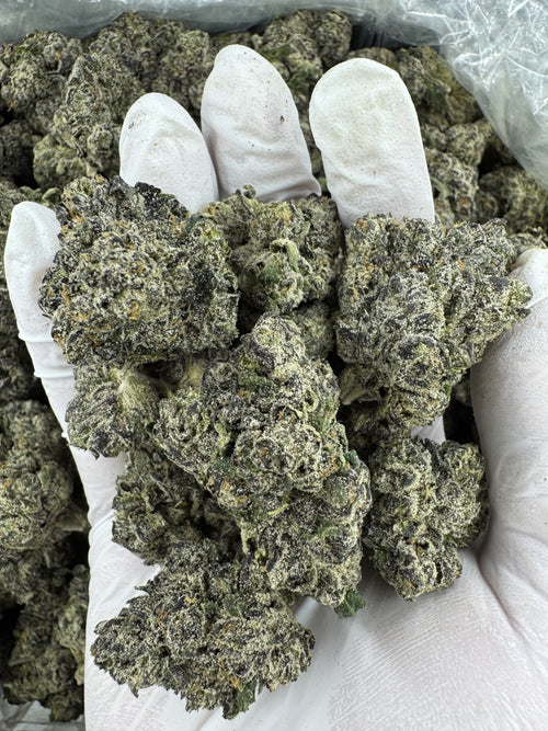 Cherry Sorbet Haze - Indoor