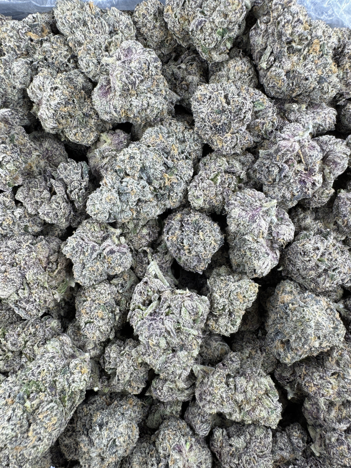 Candy Crush - Indoor