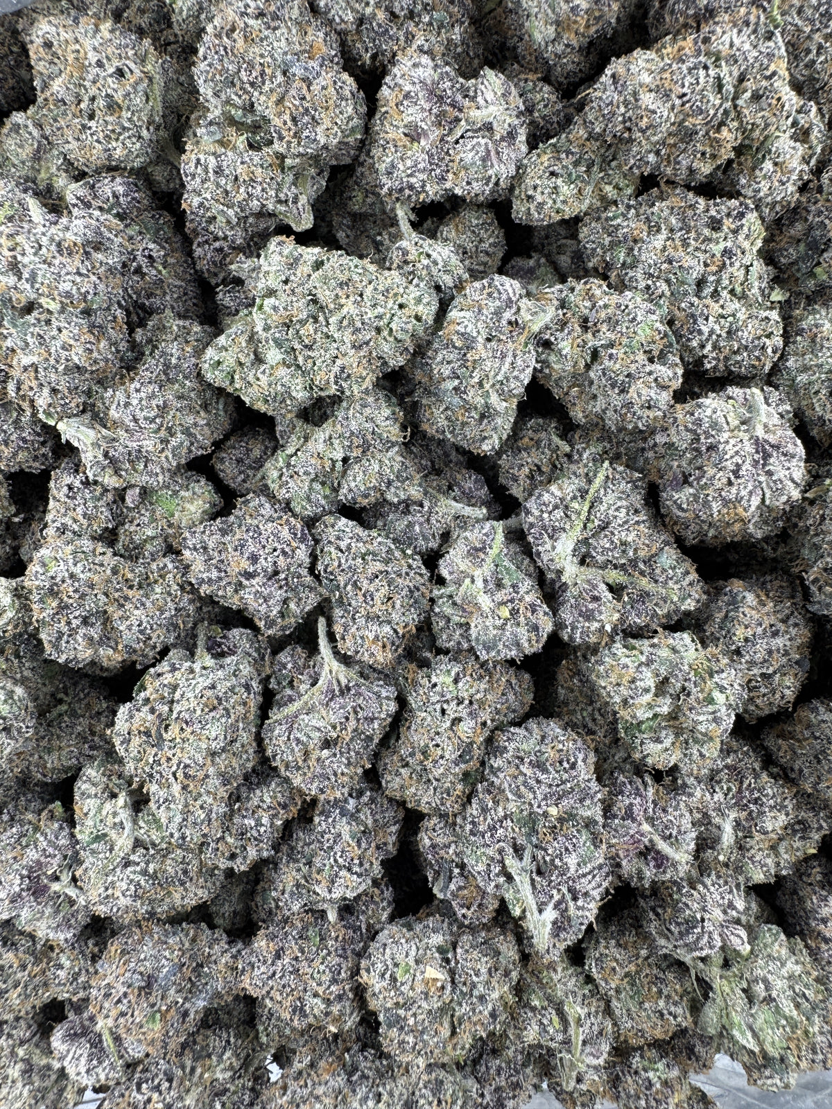 Ube Cherry - Indoor - 28G / Ounce Deal
