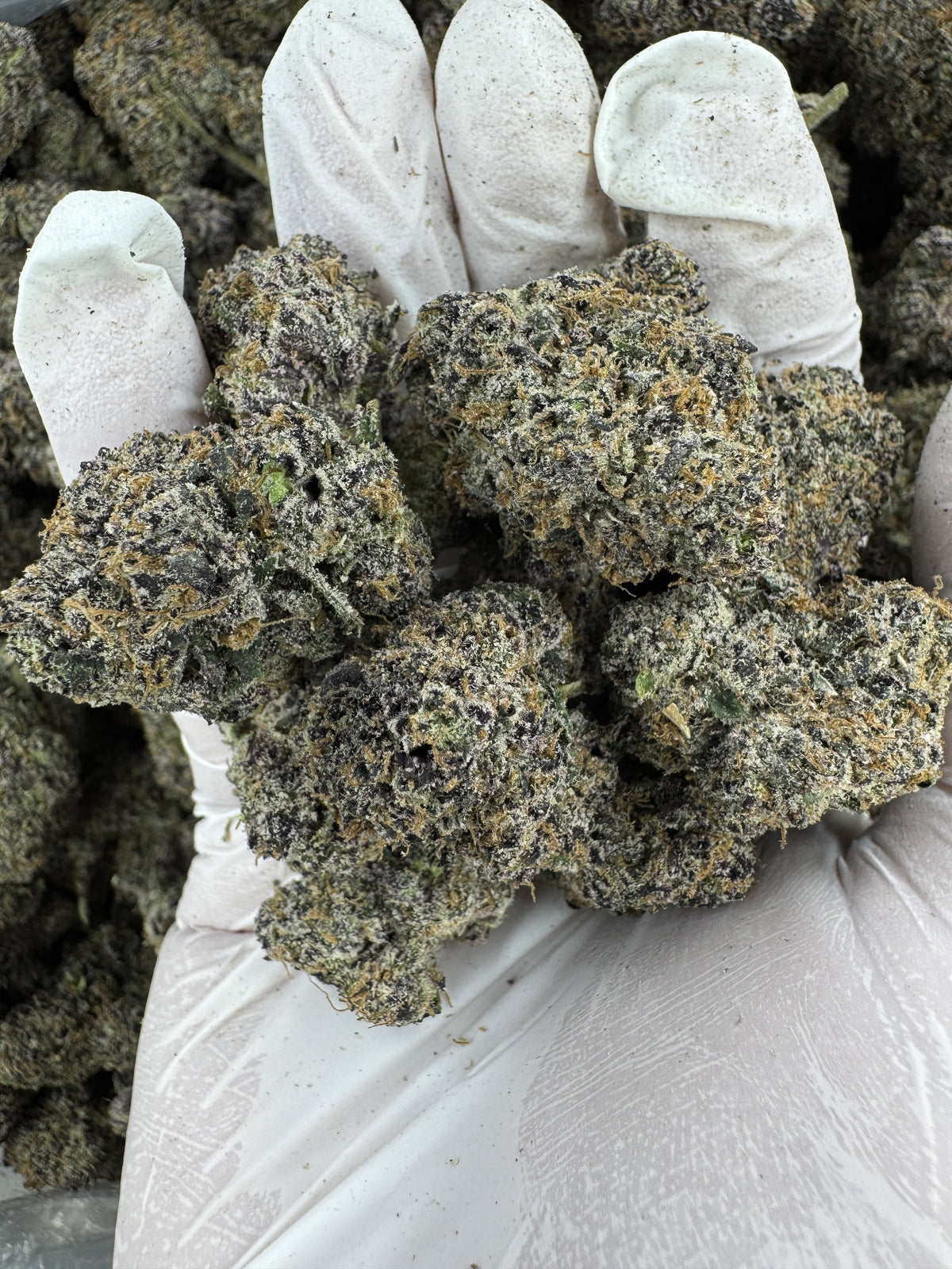 Ube Cherry - Indoor - 28G / Ounce Deal