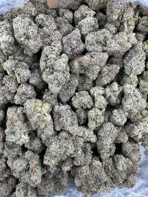 BULK - Cherry Pop - Indoor