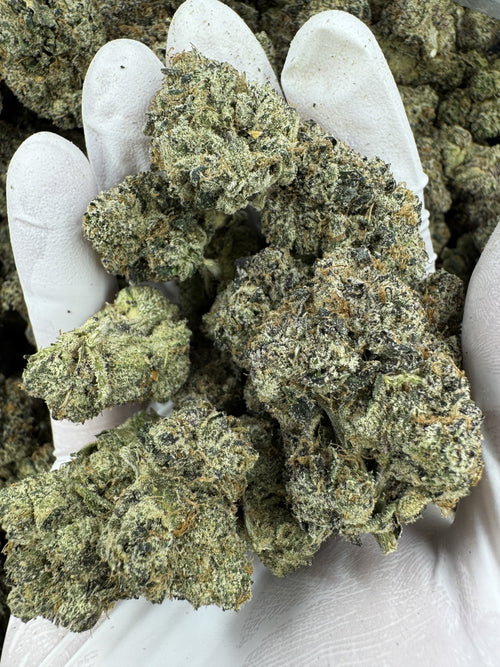 Cherry Pop - Indoor