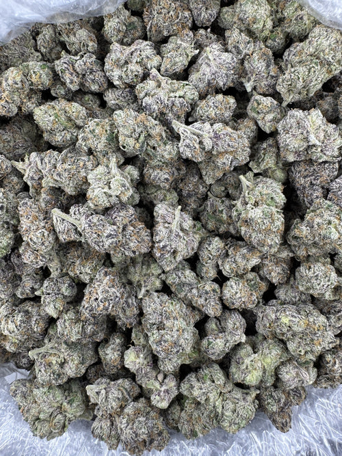 BULK - Lemon Cherry Pop Rocks - Indoor