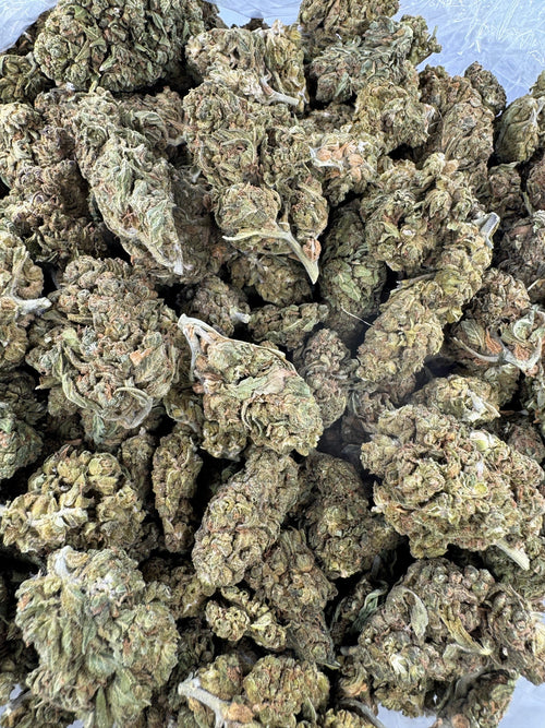 Guava Lemon Smoke - BULK - Indoor