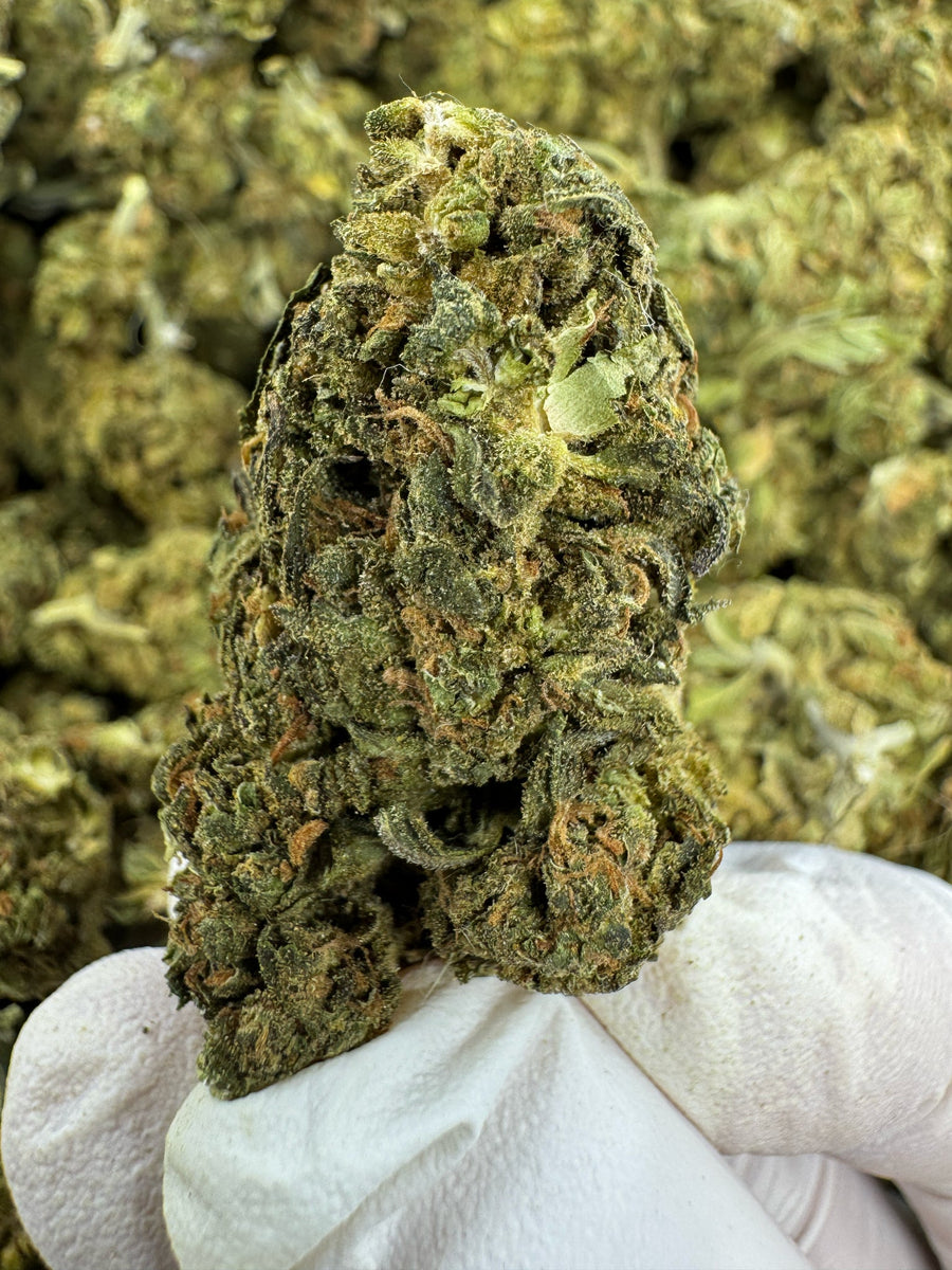 Chem Dawg - Indoor - 28G / Ounce Deal