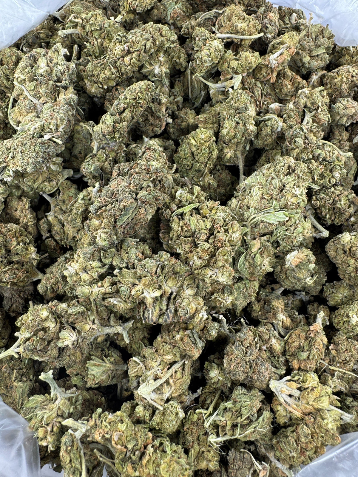 Blueberry Cough - Indoor