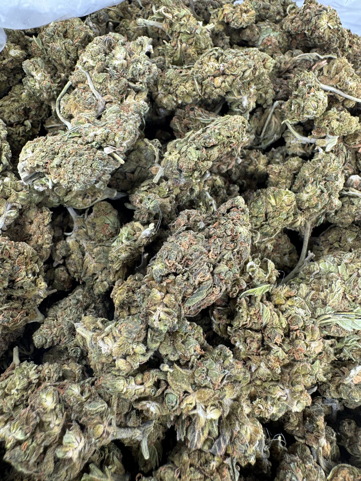 Blueberry Cough - Indoor
