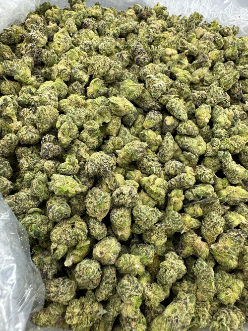 MANGO JETFUEL - SMALLS - BULK - Indoor