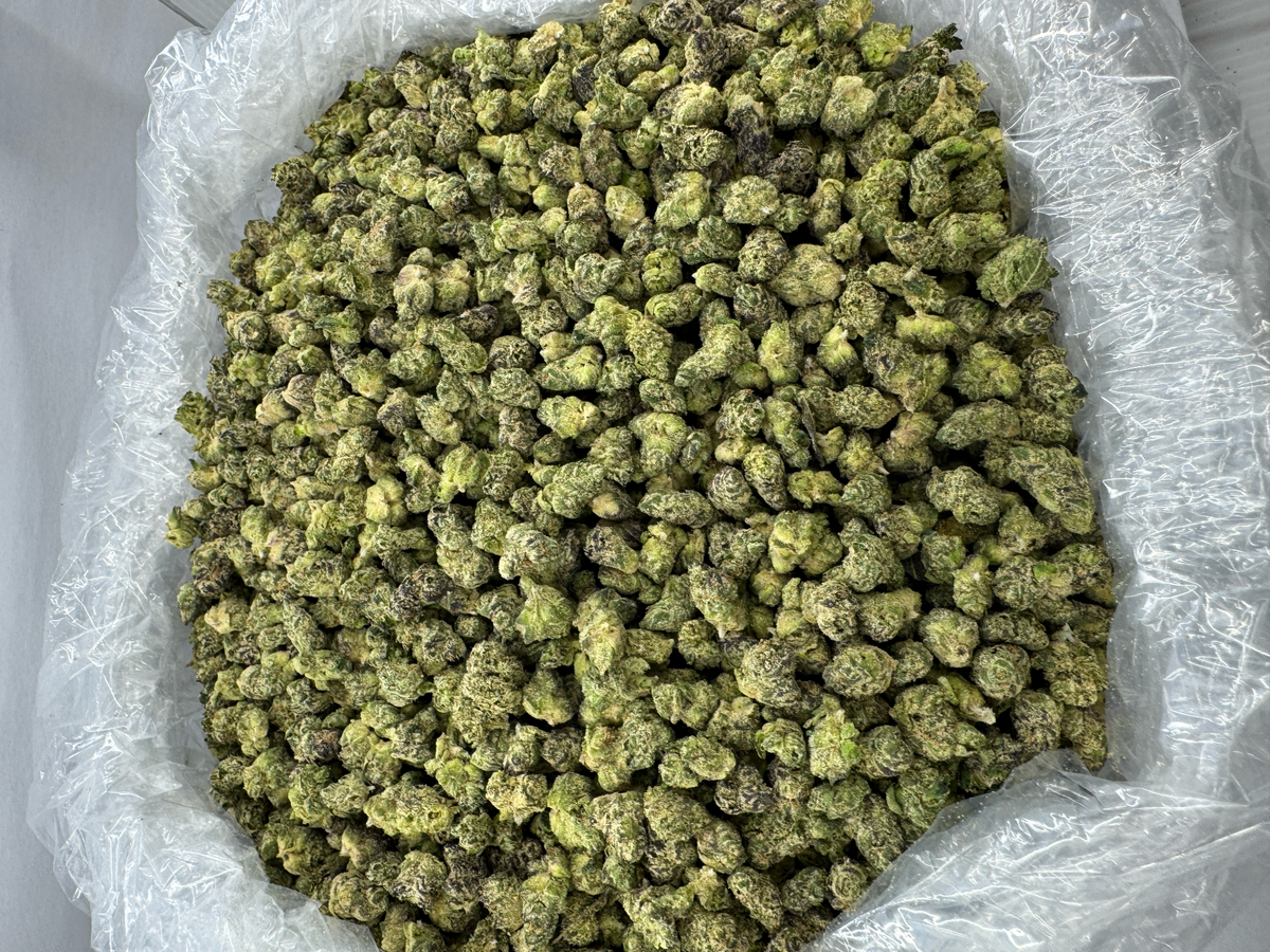 GOLDEN HAZE POP - SMALLS - BULK - Indoor