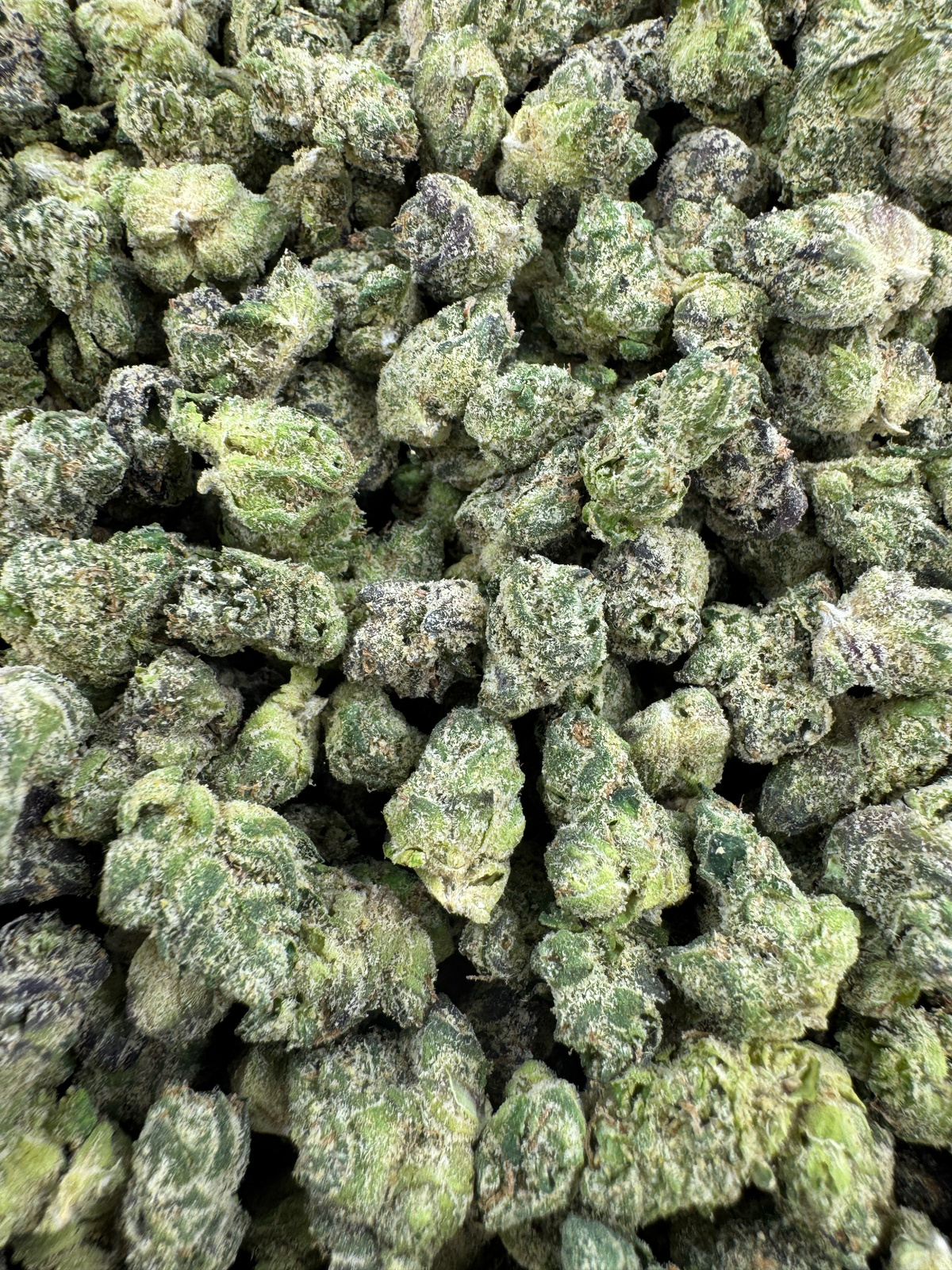 SMALLS - LEMON SKYBURST - BULK - Indoor