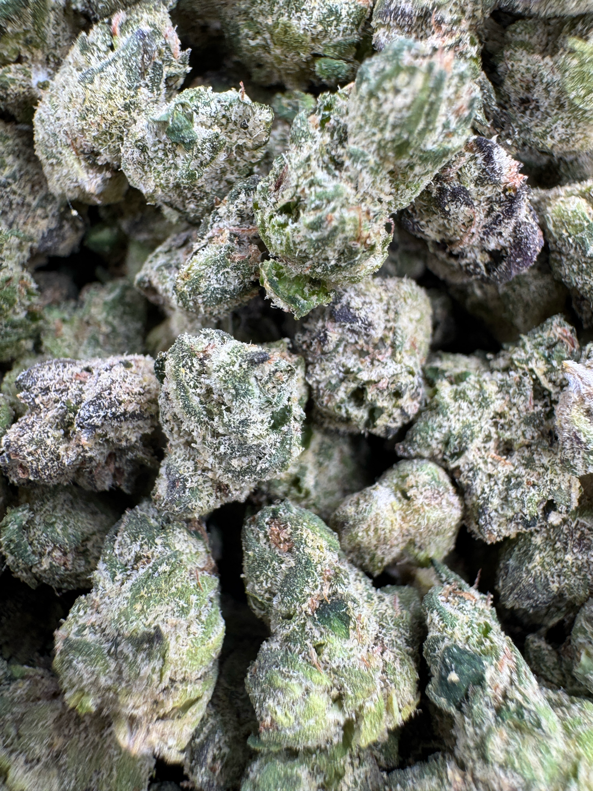 SMALLS - LEMON SKYBURST - BULK - Indoor