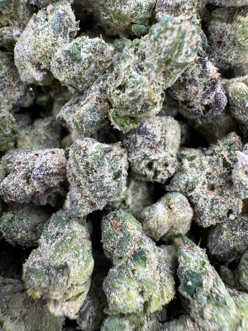 SMALLS - LEMON SKYBURST - BULK - Indoor