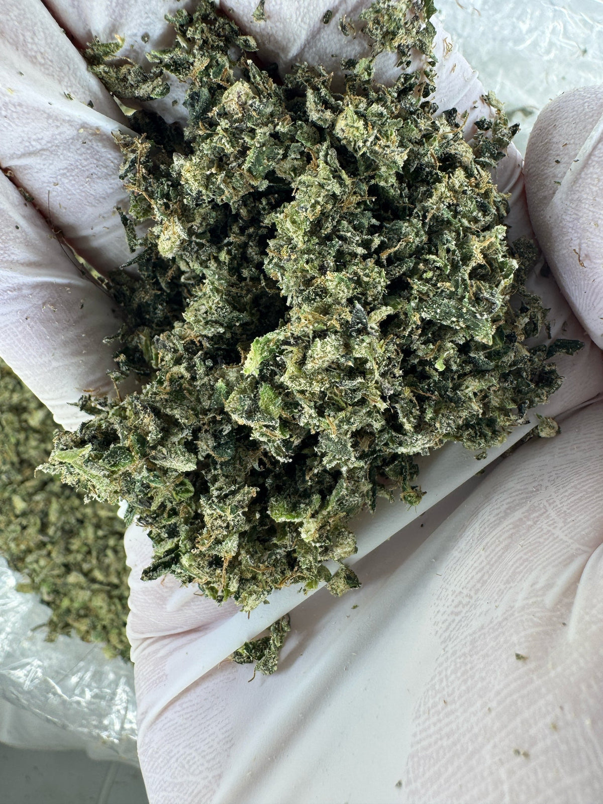 Zaza Blend Shake - Hybrid- Indoor - 28G - Ounce Deal